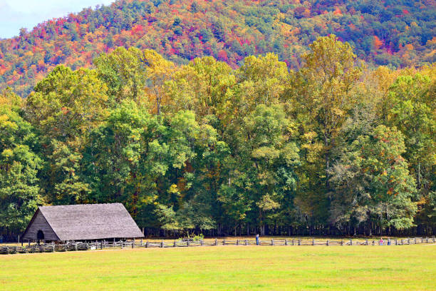 istock Abandoned barn with a background of autumn colored mountains 1443576401