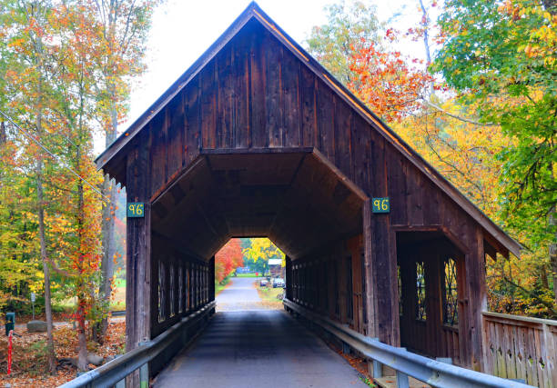 istock Old covered bridge with vibrant autumn colored leaves 1443576441