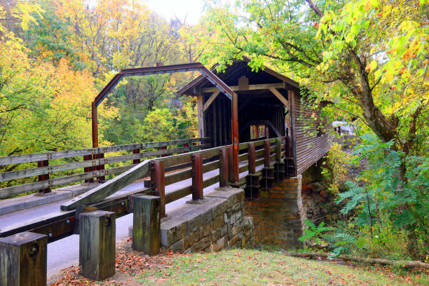 istock Old covered bridge with vibrant autumn colored leaves 1443576563