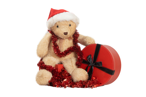 teddy bear standing next to a gift package isolated on white background
