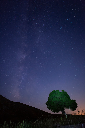 Beautiful view of milky-way and green tree light on it