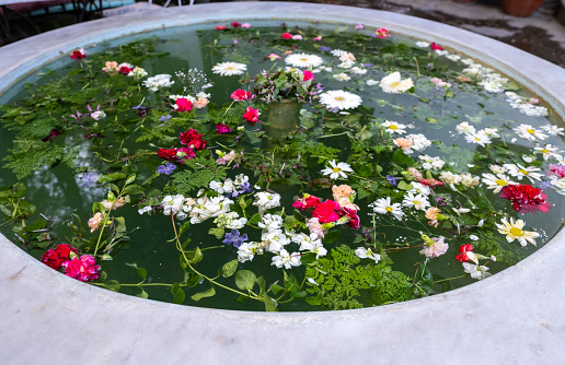 composition of a lot of flowers including daisy, marguerite, chamomile, and pink dianthus on surface of pool in winter time