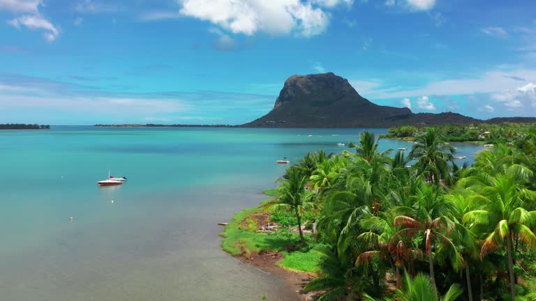 Drone view of a tropical beach with green palm trees and turquoise water against a blue sky. Drone flying over a beautiful beach with boats