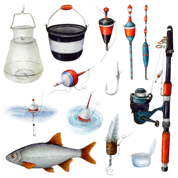 ilustraciones, imágenes clip art, dibujos animados e iconos de stock de un conjunto de artículos de pesca para atrapar peces con una línea y un anzuelo. - corcho-de-pesca