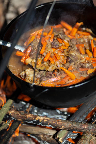 istock Fried meat with vegetables in a cauldron over a fire 1443594175