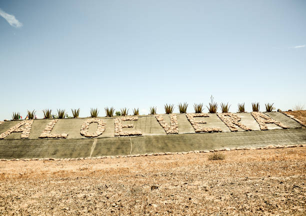 istock Aloe Vera Plant 1443595047
