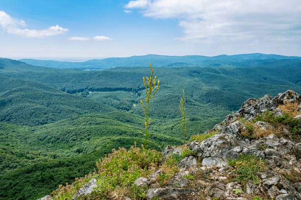 istock View from Vapenna - Rostun hill, Little Carpathians, Slovakia 1443600366