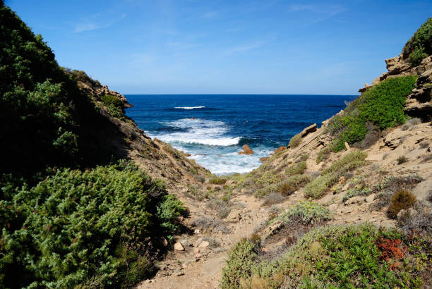 The coast between  Cala Sarraina and Cala Faa stock photo