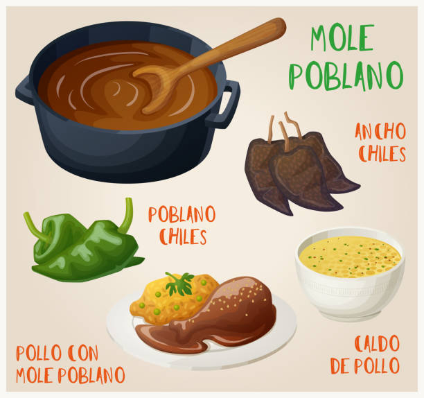 Mole poblano with ingredients vector icons set. Collection of pollo con mole poblano mexican food cartoon illustrations Mole poblano with ingredients vector icons set. Collection of pollo con mole poblano mexican food cartoon illustrations ancho stock illustrations