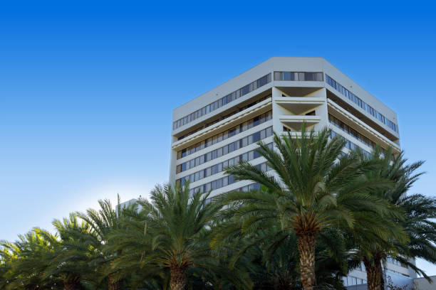 istock A high rise building with palm trees in the foreground with clear blue sky 1443603587