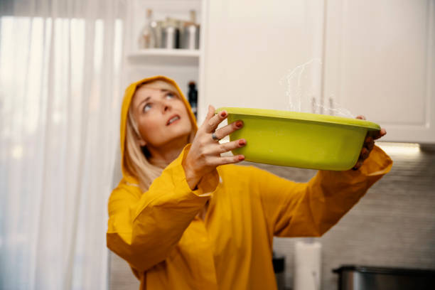 istock It Leaks in the renovation home 1443607065