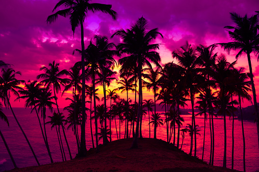 Coconut palm trees on tropical island beach at vivid colorful sunset