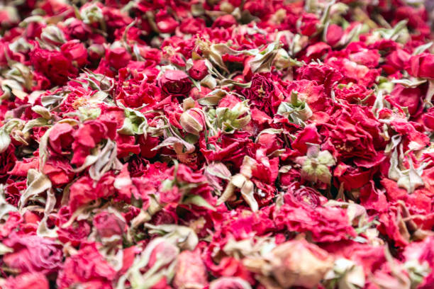 teerose - rose flower shop variation color image stock-fotos und bilder