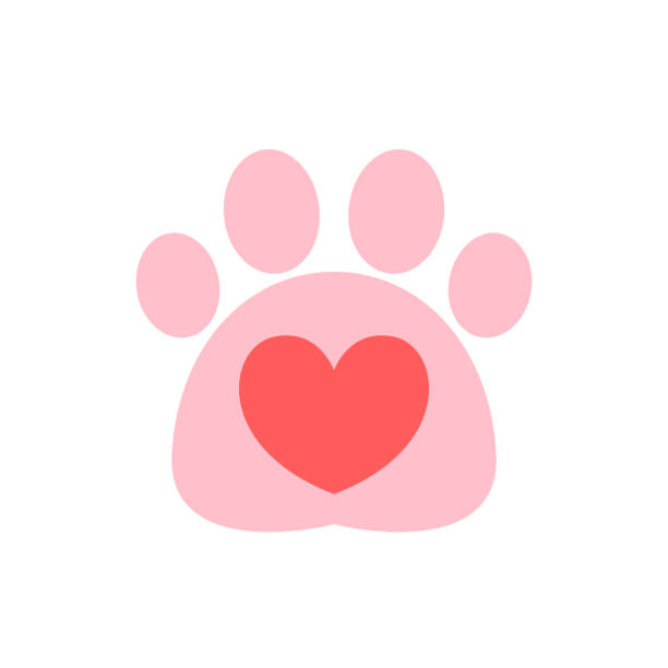 ilustrações, clipart, desenhos animados e ícones de ícone de coração no paw print. impressão de pata de amor. ilustração vetorial. - tracing red pets dog