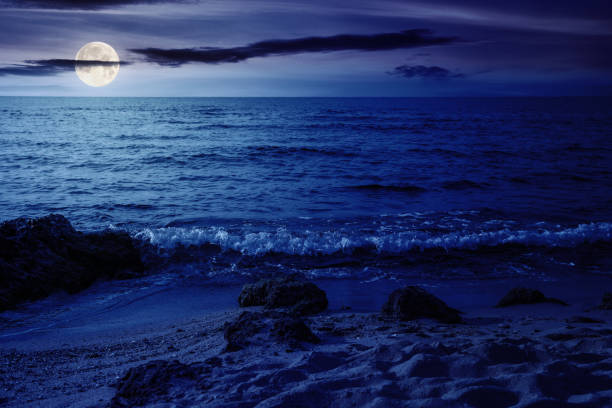 istock summer vacation background at the sea 1443613186