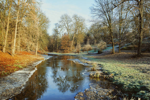 istock beautiful forest landscape in late autumn, winter 1443624422