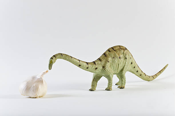 istock Dinosaur toy and garlic 144362687