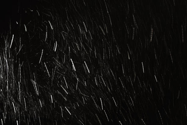 Falling snow on black background. Snowflake. Winter weather. Climate. Storm