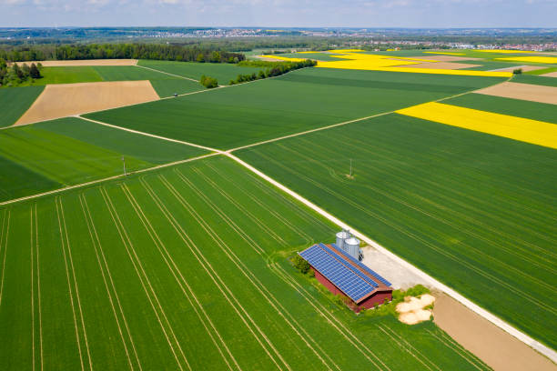 Free picture: rapeseed, agriculture, farmland, farm, barn, field, rural ...