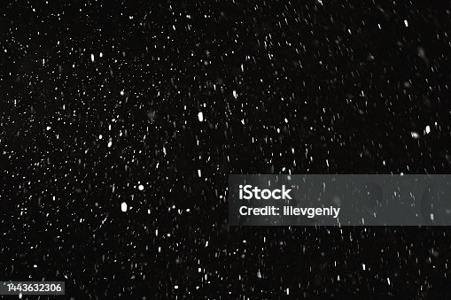 istock Falling snow on black background. Snowflake. Winter weather. Climate. Storm 1443632306