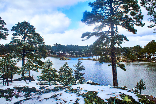 Lago en invierno, rodeado de pinos cubiertos de nieve, bosque y un cielo azul con nubes en el lago arareco de Creel Chihuahua en la sierra tarahumara