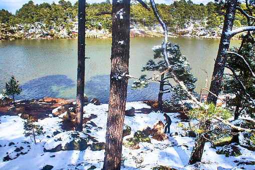 Lago en invierno con un bosque cubierto de nieve y una persona cortando leña, troncos de árboles en primer plano en el lago arareco de Creel Chihuahua