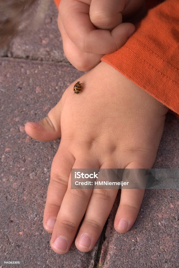 Jouant avec un insecte - Photo de Activité libre de droits