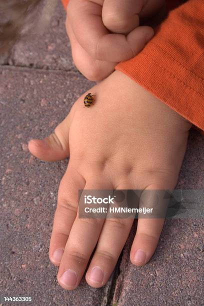 Photo libre de droit de Jouant Avec Un Insecte banque d'images et plus d'images libres de droit de Activité - Activité, Activité de loisirs, Apprentissage