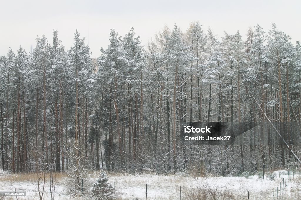 Winter time in Gdynia Poland. Winter time in Gdynia Poland Atmospheric Mood Stock Photo