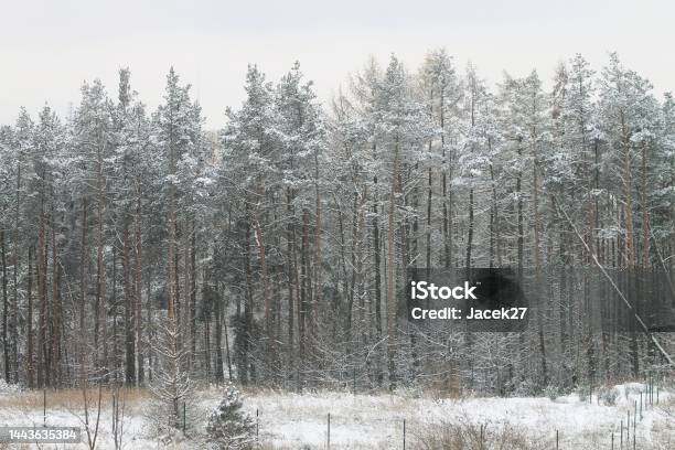 Winter Time In Gdynia Poland Stock Photo - Download Image Now - Atmospheric Mood, Awe, Backgrounds