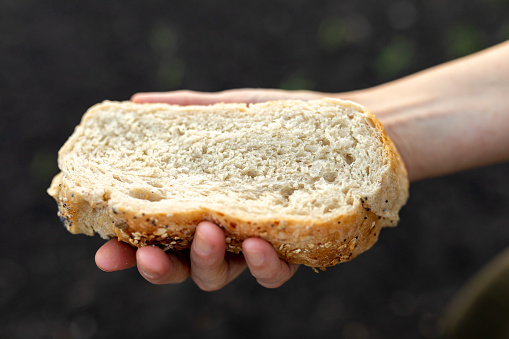 A cut piece of white homemade bread in a woman's hand on a dark background. World food crisis, food shortage concept. Copy space
