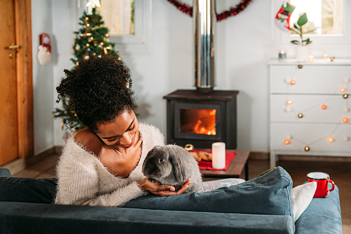 Side view of young African American female with curly hair in casual clothes sitting on sofa and caressing adorable rabbit while resting in cozy room decorated for New Year