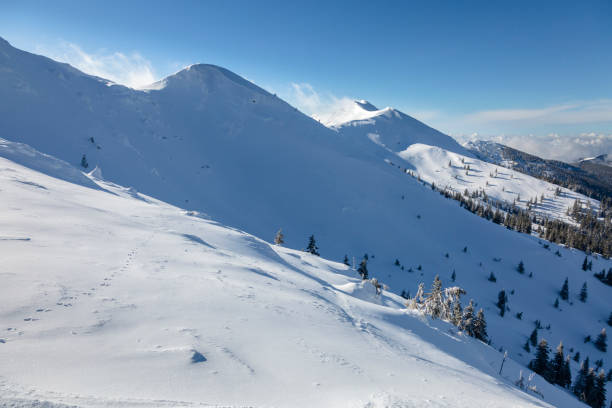istock An avalanche environment in the beautiful snowy alpine mountains under the windy blue sky, Marmarosy, the Carpathians 1443642654
