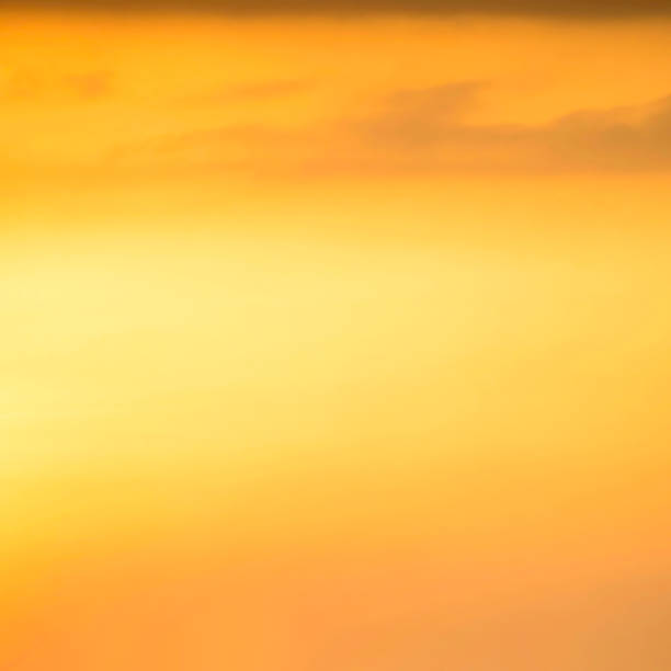 istock Sunset in the city 1443644813