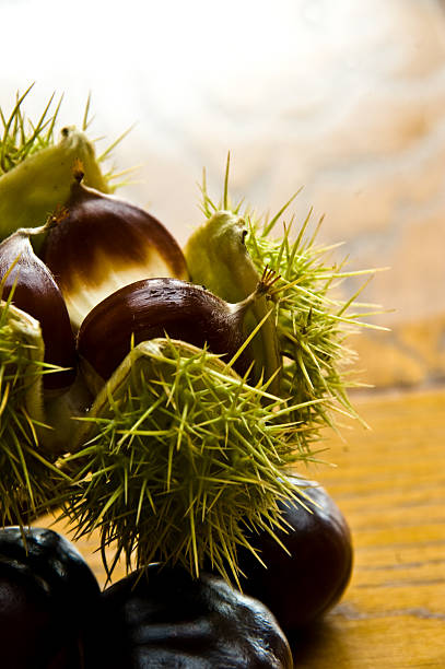 Castanha e Castanha para Brincar - foto de acervo