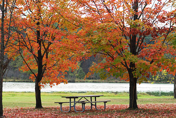 istock Park Picnic Table In Autumn 144364694