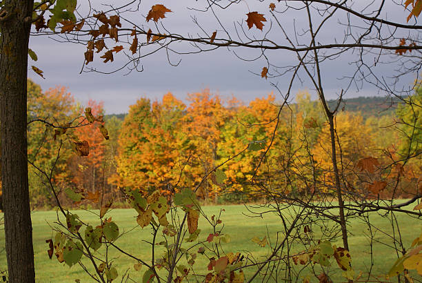 Fall Framed stock photo