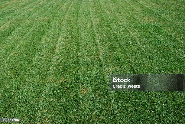 Świeże Cięcia Trawy - zdjęcia stockowe i więcej obrazów Pole golfowe - Pole golfowe, Porządek, Przemysł