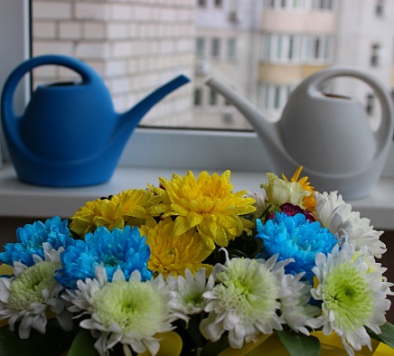 Flowers Bouquet In Front Of Two Long Mouth Household Watering Kettles With Soft Focus