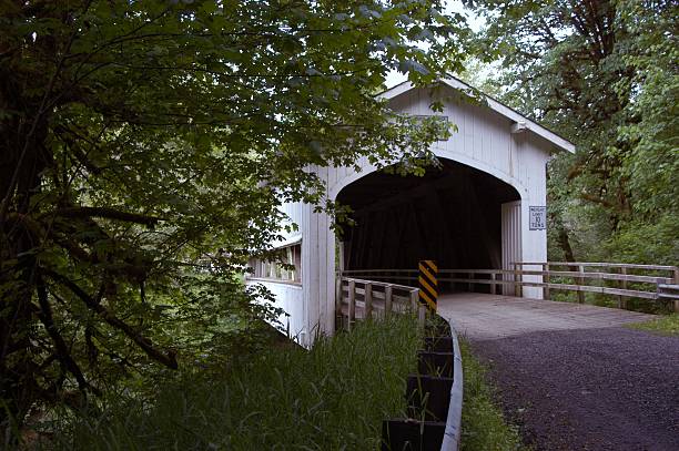 istock Covered Bridge at Deadwood, OR 144364820