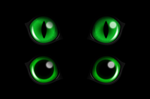 Vector 3d Realistic Green Round Glowing Cats Eyes of a Black Cat Set. Cat Look in the Dark Black Background Closeup. Glowing Cat or Panther Eyes.