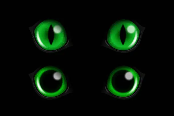 Vector illustration of Vector 3d Realistic Green Round Glowing Cats Eyes of a Black Cat Set. Cat Look in the Dark Black Background Closeup. Glowing Cat or Panther Eyes