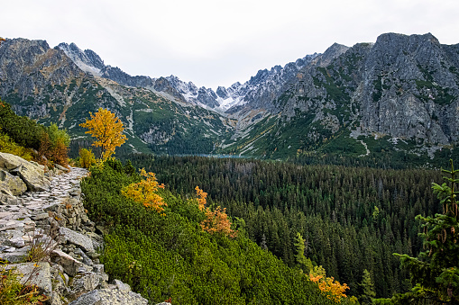 Autumn scene in Mengusovska valley, High Tatras mountains, Slovak republic. Hiking theme.