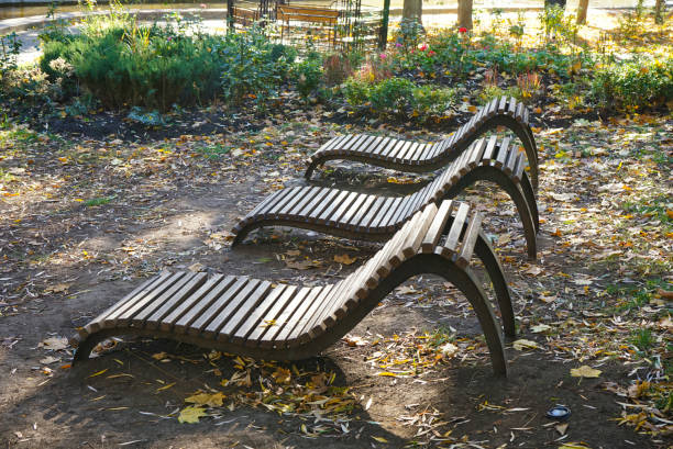 istock Benches in the autumn park and fallen leaves. 1443651035