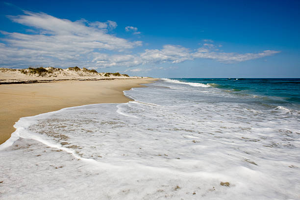 砂浜のビーチ - southern usa sand textured photography ストックフォトと画像