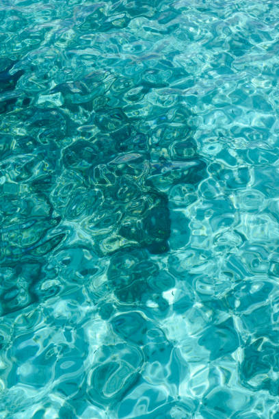 istock Vertical water abstract background of clear blue ocean with ripples 1443654670