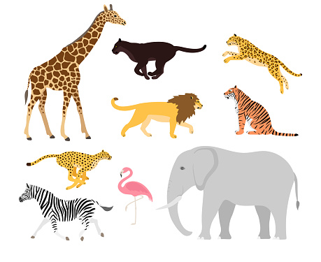 Vector set of flat african wild animals isolated on white background