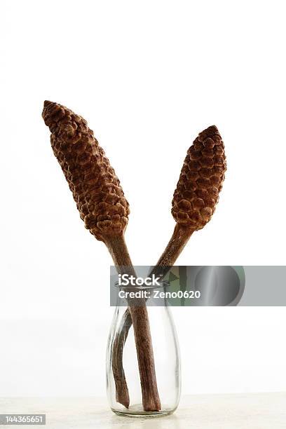 Sago Palm Stock Photo - Download Image Now - Activity, Art, Art And Craft