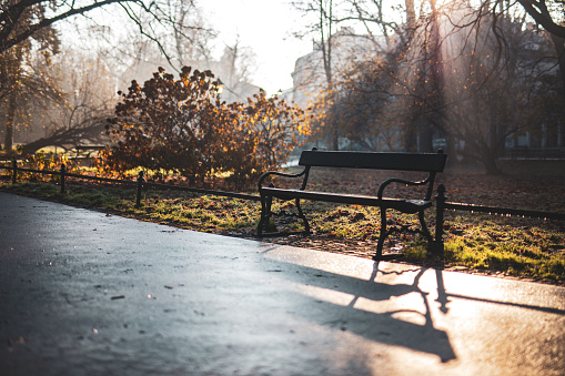 Park in the center of Krakow. Morning. Sunshine. Lights. Krakow. Poland