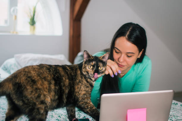 istock Enjoying working with my cat from home 1443658998